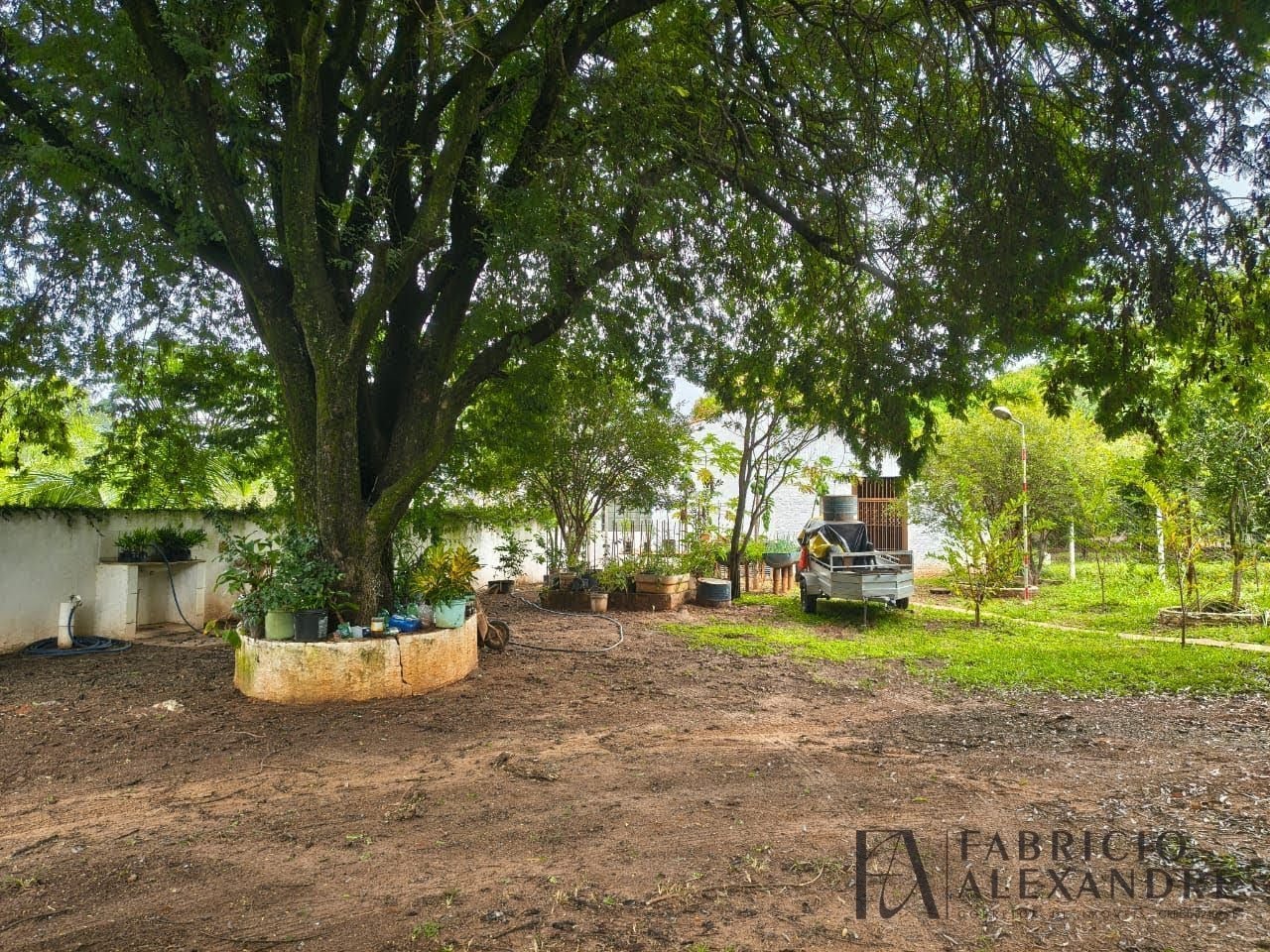 Rural à venda com 5000m² de terreno no Recanto de Ala, Mirassol (SP) — foto 16 de 17