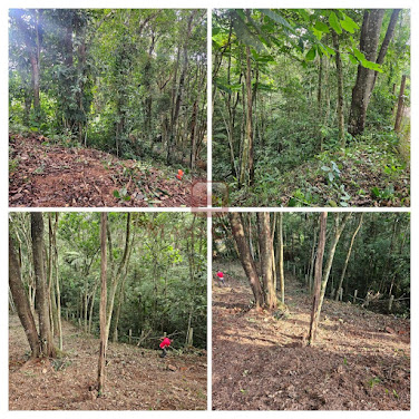 Oportunidade em Parelheiros  -  Terreno com 1008m² para venda
