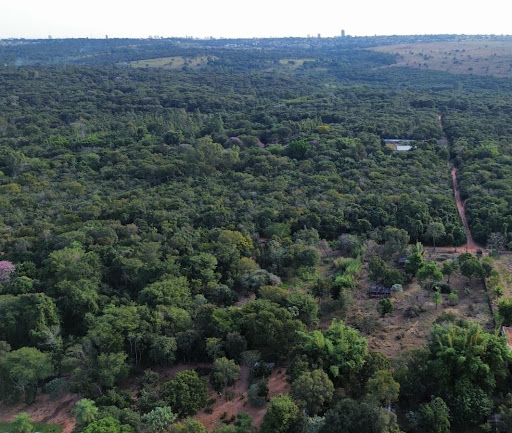 Chácara em Chácara dos Poderes  -  Campo Grande