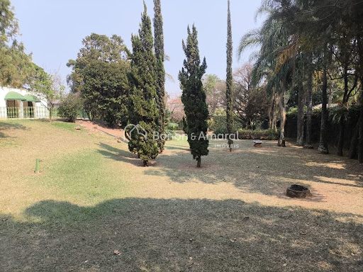Casa, 3 quartos, 438 m² - Foto 10