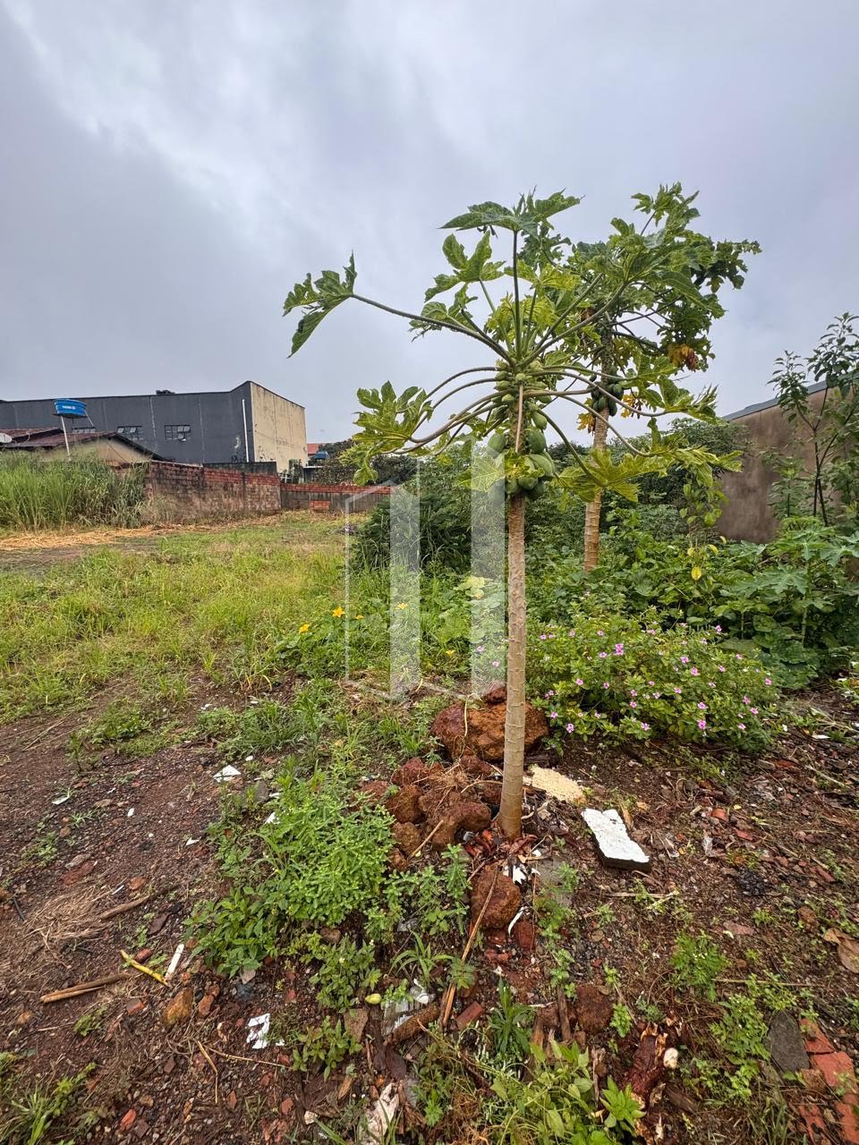 Terreno à venda no Setor Garavelo, Aparecida de Goiânia — foto principal