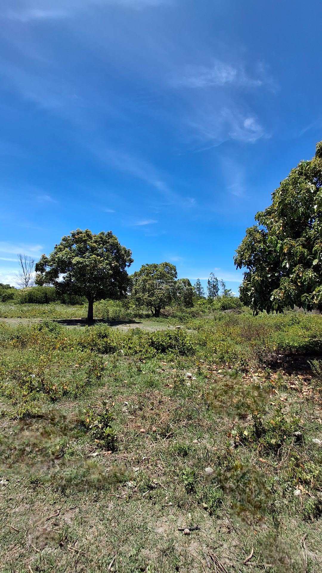 Rural à venda com 33000m² de terreno no Vila Manhães, Campos dos Goytacazes (RJ) — foto 6 de 10