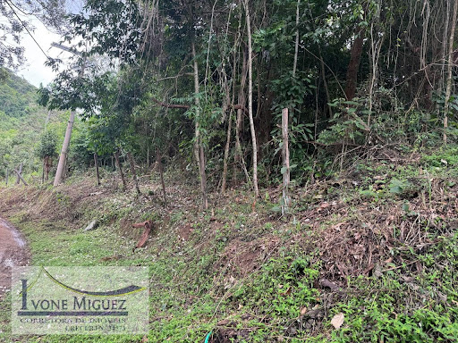 Terreno em Vale Das Videiras  -  Paty do Alferes