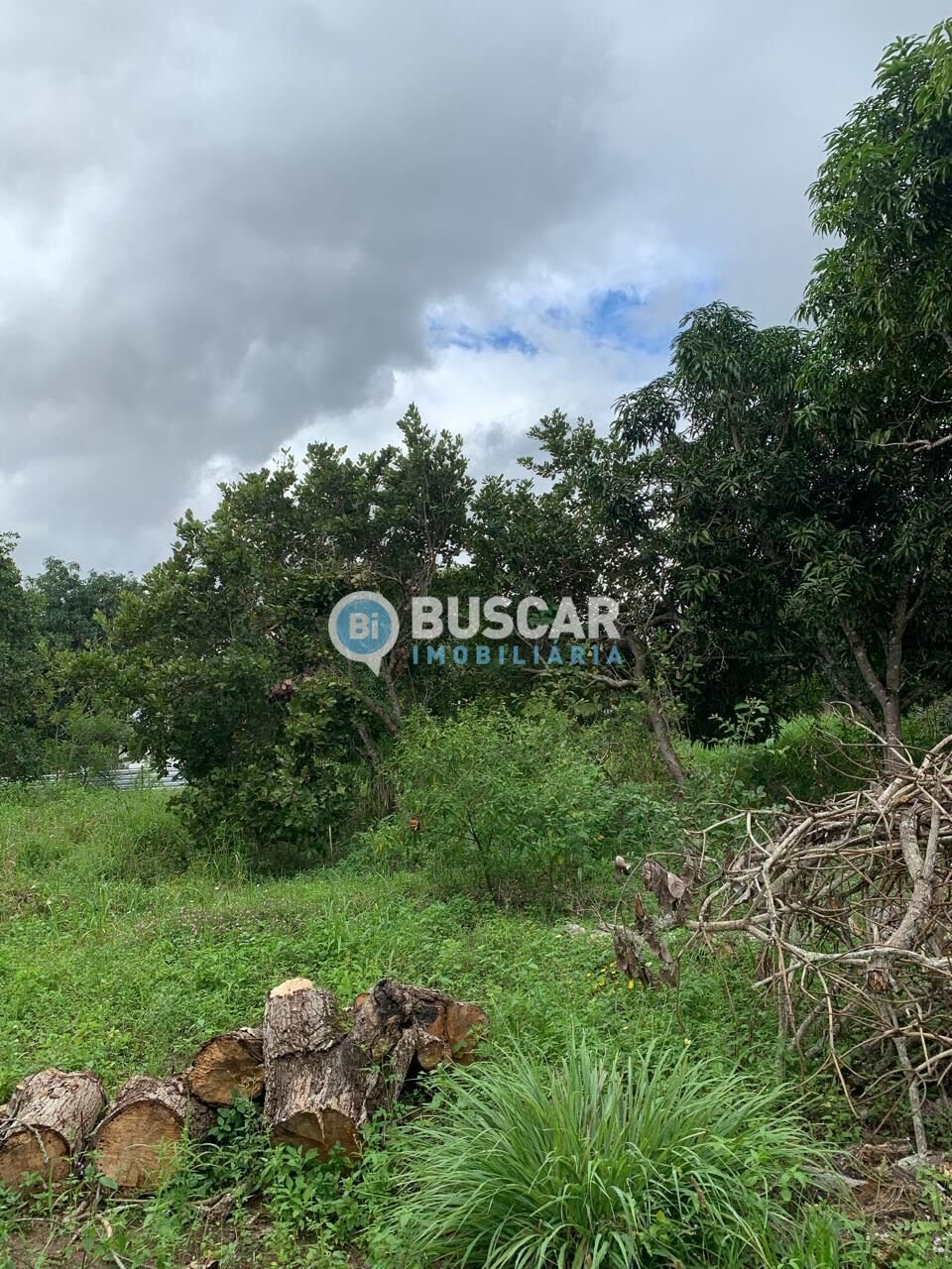 Rural à venda com 40000m² de terreno no Sim, Feira de Santana (BA) — foto 4 de 7
