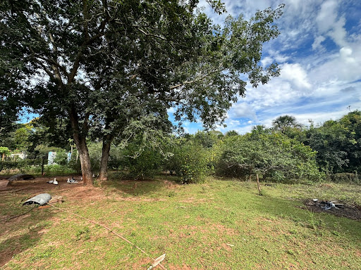 Chácara em Zona Rural  -  Campo Grande