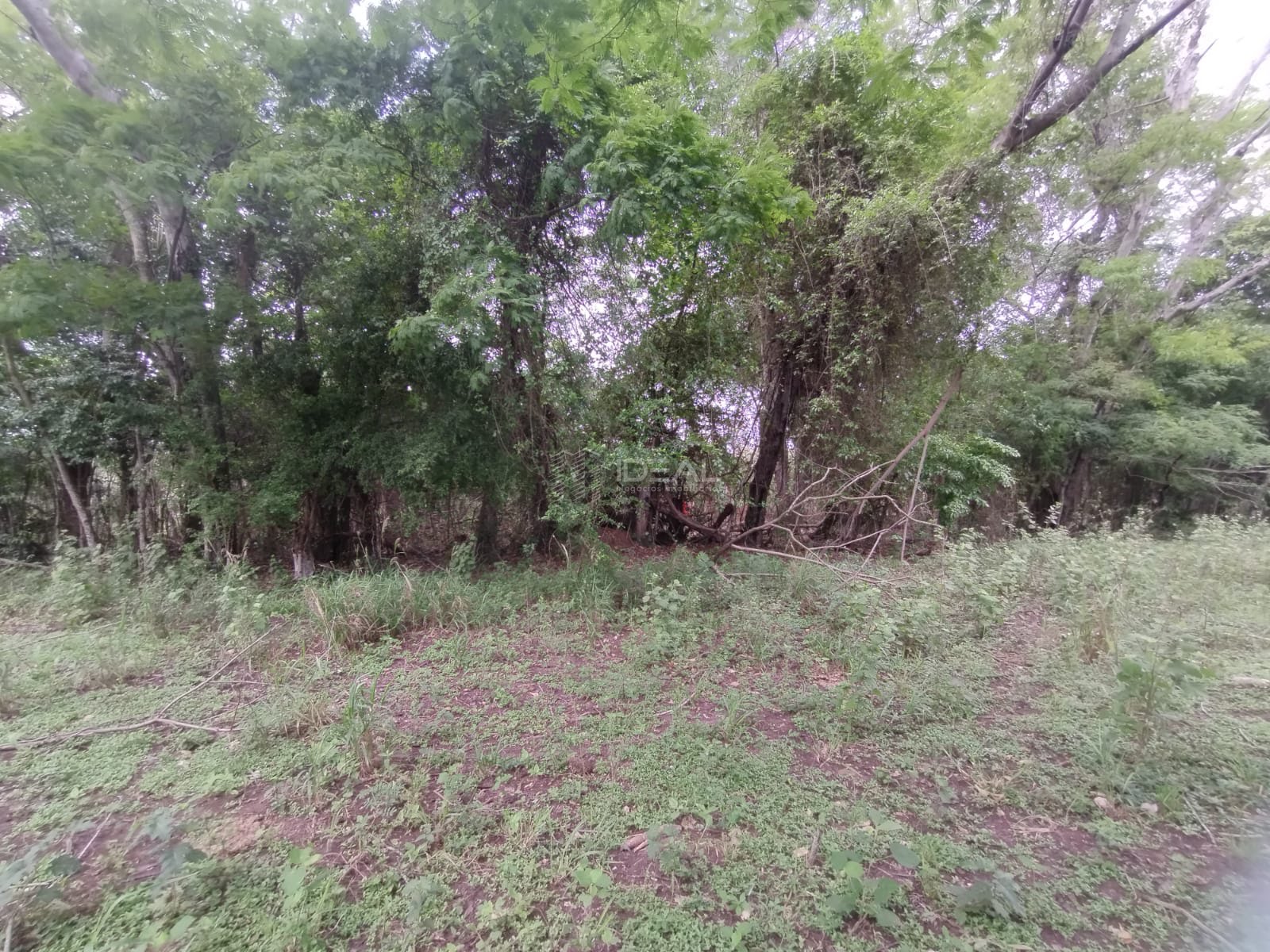 Rural à venda com 34810m² de terreno no Parque Aeroporto, Campos dos Goytacazes (RJ) — foto 19 de 20