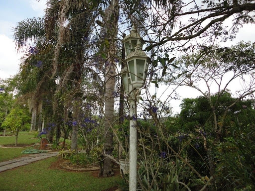 Jardim