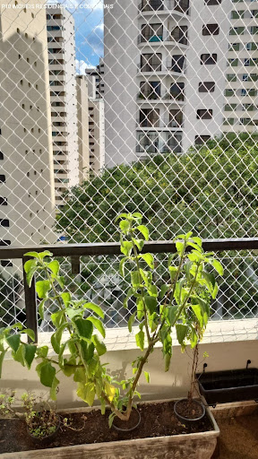Foto 04