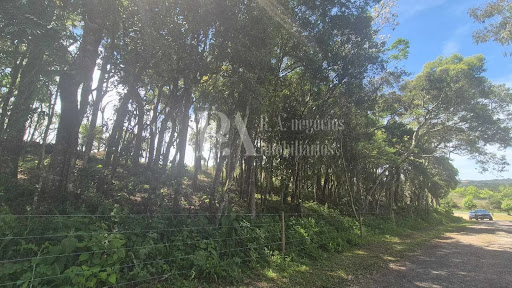 Lote / Terreno em Campo Alegre   -  Campo Alegre