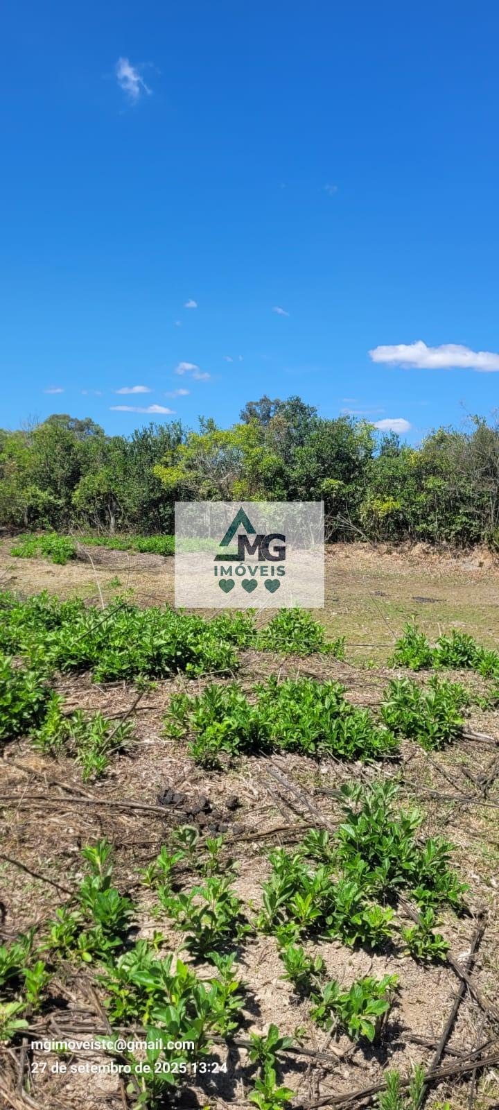 Rural à venda com 20000m² de terreno no Área Rural de Três Corações, Três Corações (MG) — foto 5 de 26