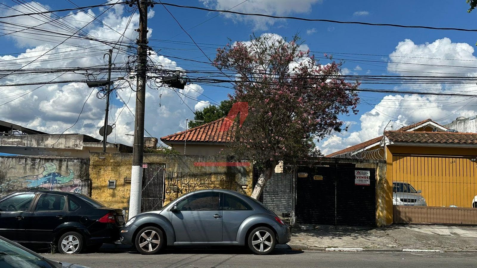 TERRENO 10X50