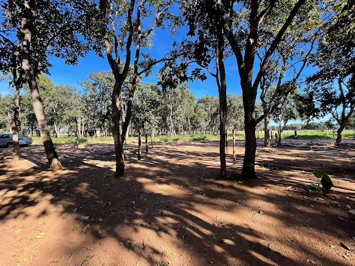 Chácara em Chácara das Mansões  -  Campo Grande