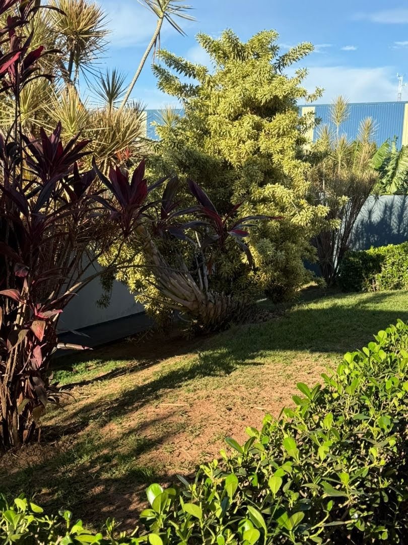 Comercial à venda com 3 banheiros e 1700m² no Centro, Cedral (SP) — foto 8 de 30
