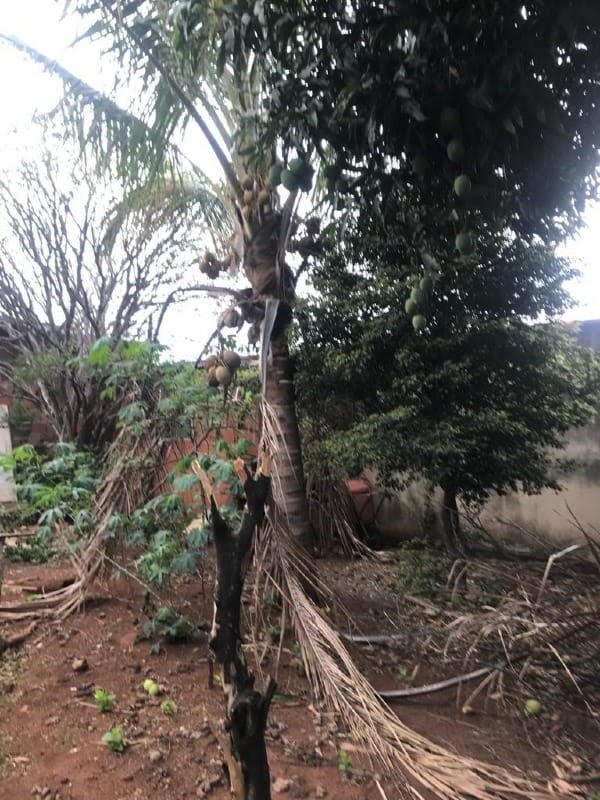 casa-a-venda-4-quartos-3-vagas-custodio-pereira-ub