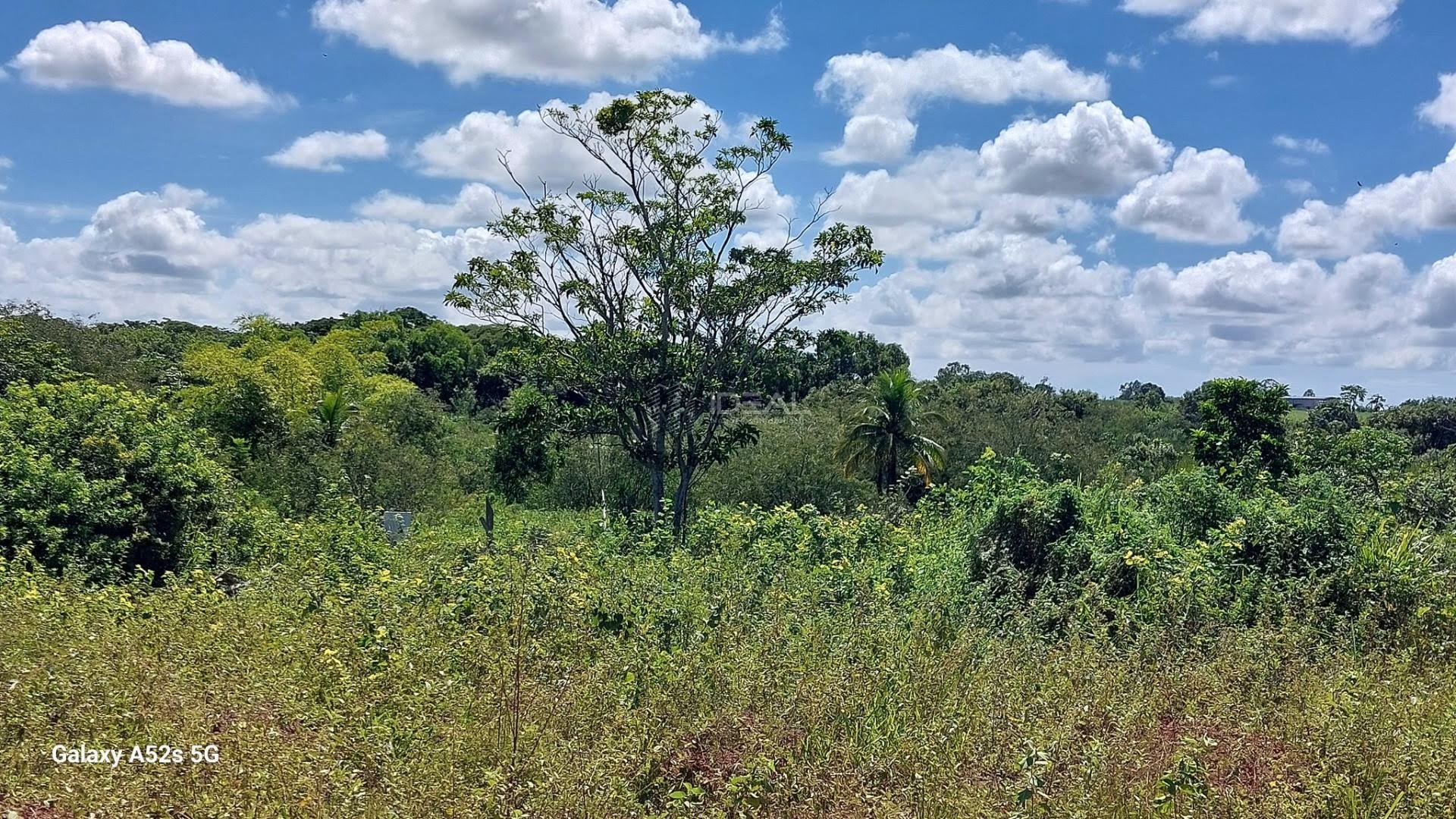 Terreno à venda no Parque Aeroporto, Campos dos Goytacazes (RJ) — foto 9 de 20