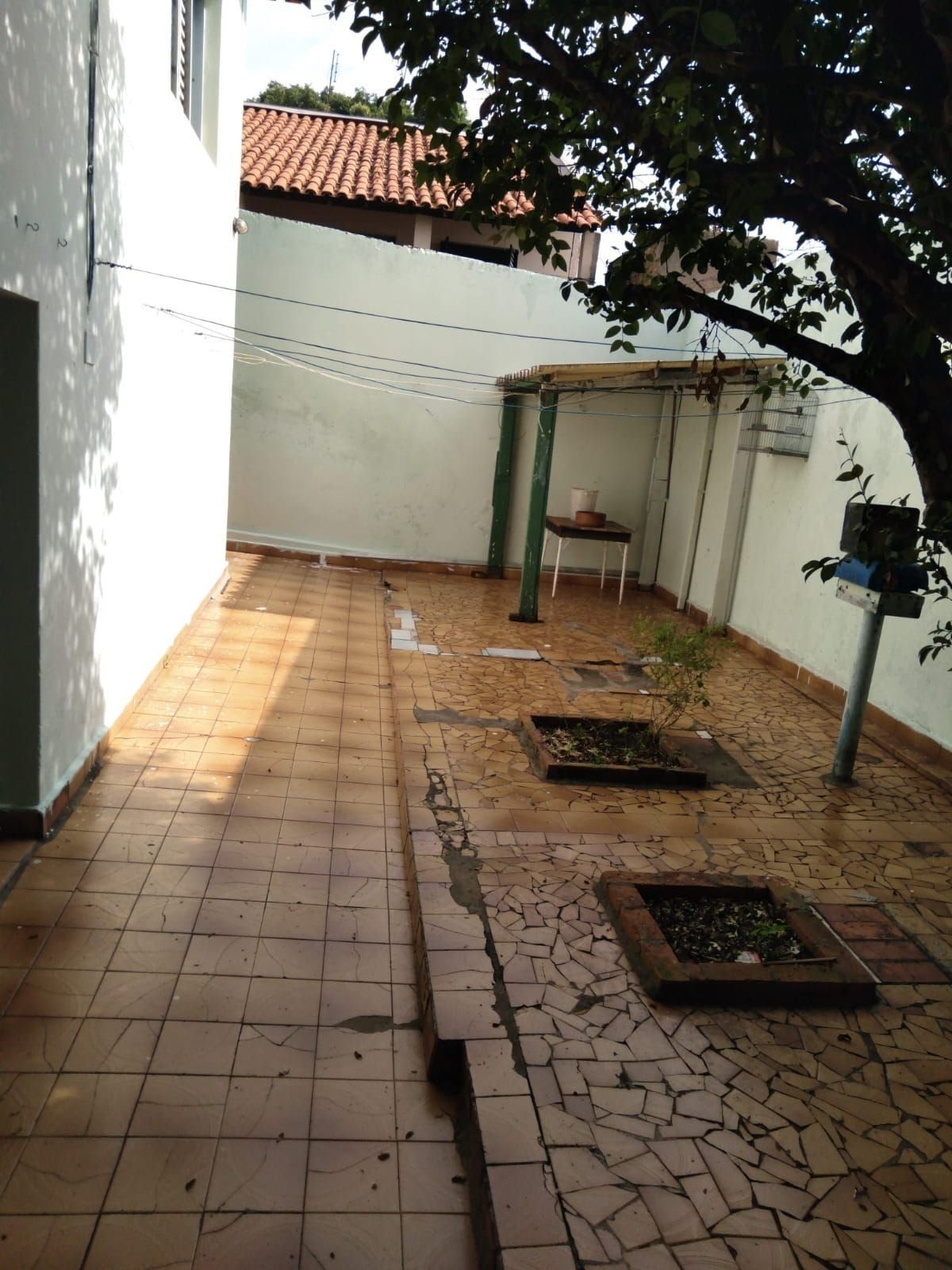 WhatsApp Image 2025-02-28 at 16.31.37.jpeg