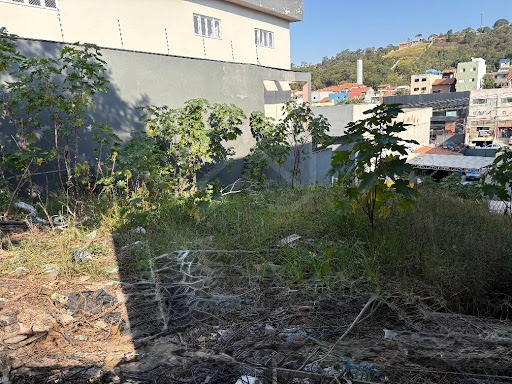 Foto 03