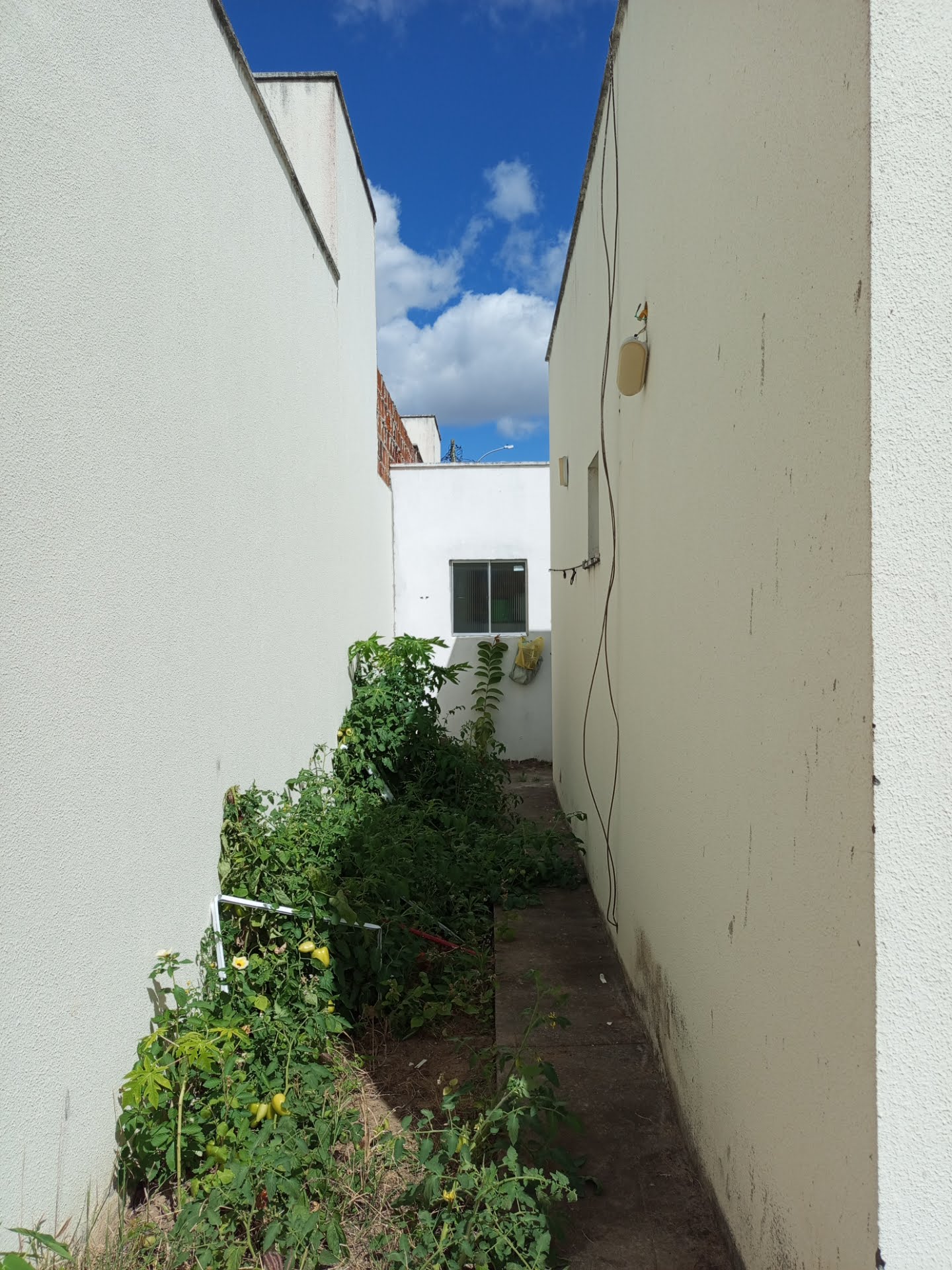 Casa à venda com 2 quartos, 1 banheiro, 3 vagas e 123m² no Parque Panorama, Feira de Santana (BA) — foto 3 de 16
