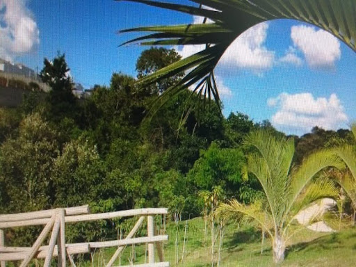 Foto 08