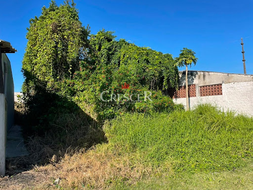 Terreno à venda no bairro Bom Retiro
