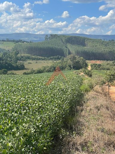 Fazenda em São Vicente de Minas  -  São Vicente de Minas