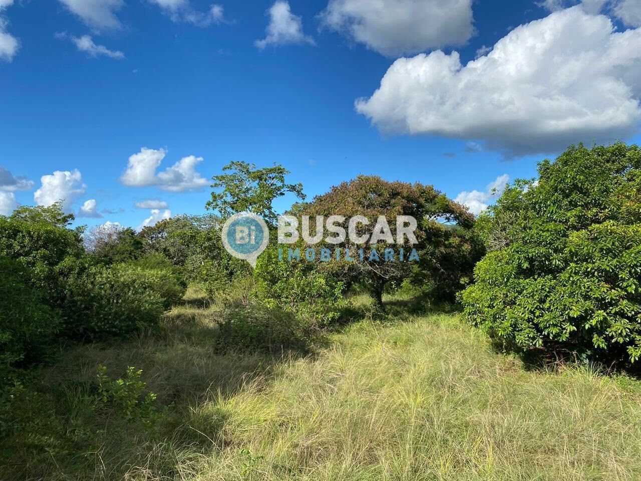 Rural à venda com 1610000m² de terreno no Centro, Iaçu (BA) — foto 12 de 17