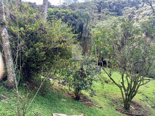 Foto 05