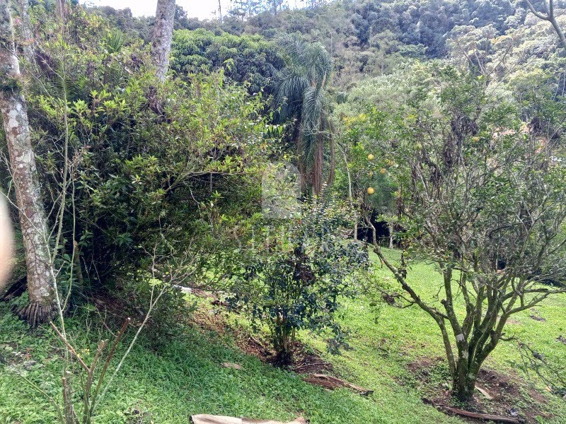 Foto 05