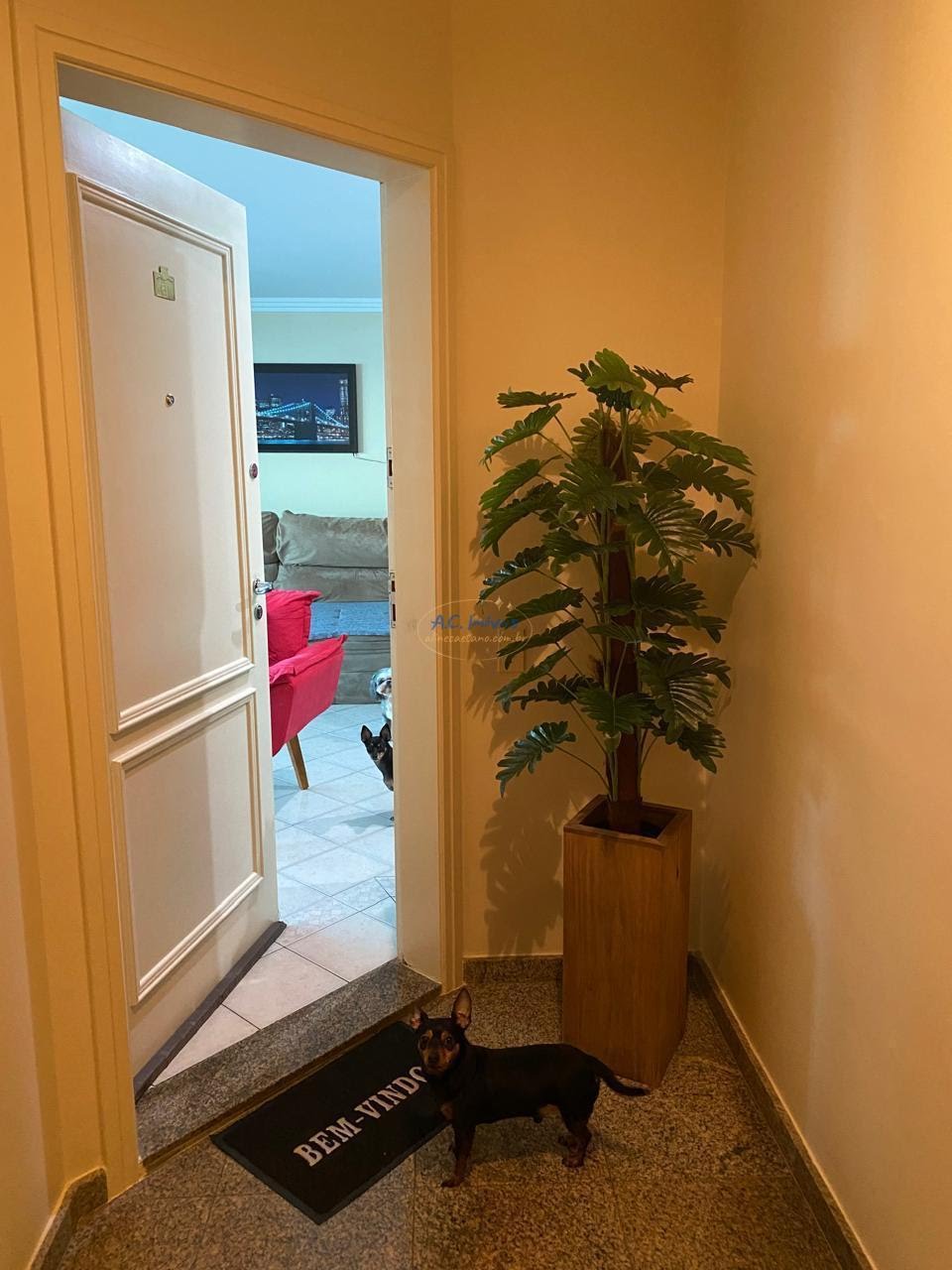 Apartamento para alugar com 4 quartos, 1 suíte, 2 vagas e 138m² no Jardim Caiahu, Mongaguá (SP) — foto 19 de 30
