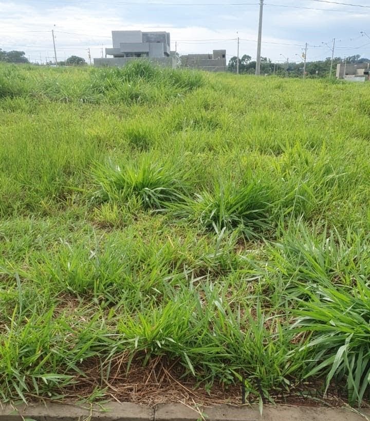Terreno à venda com 306m² de terreno no Quinta do Lago II, São José do Rio Preto (SP) — foto 2 de 7