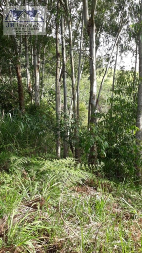 Rural à venda com 30000m² de terreno no Resende, Pedralva (MG) — foto 20 de 21