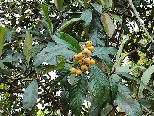 Terreno  à Venda em Parelheiros  -  São Paulo