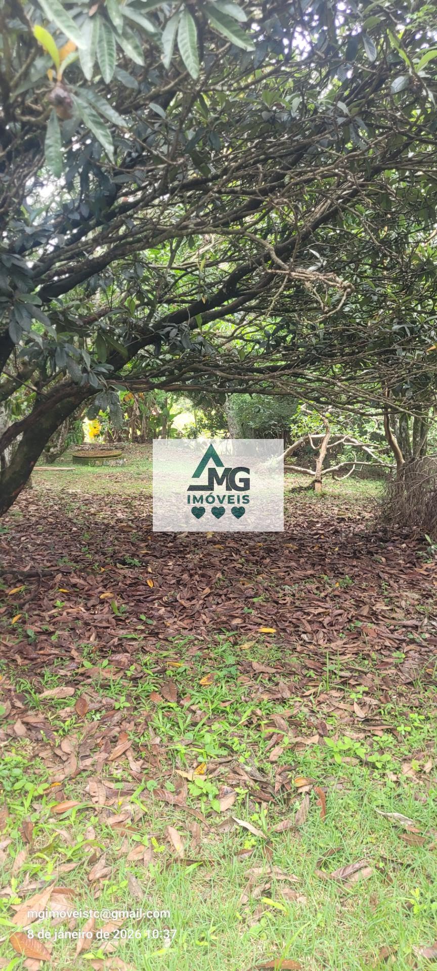 Casa à venda com 3 quartos, 1 suíte e 164m² no Marimbeiro, Cambuquira (MG) — foto 7 de 30
