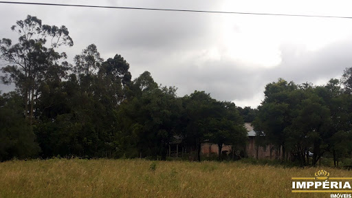 Foto 03