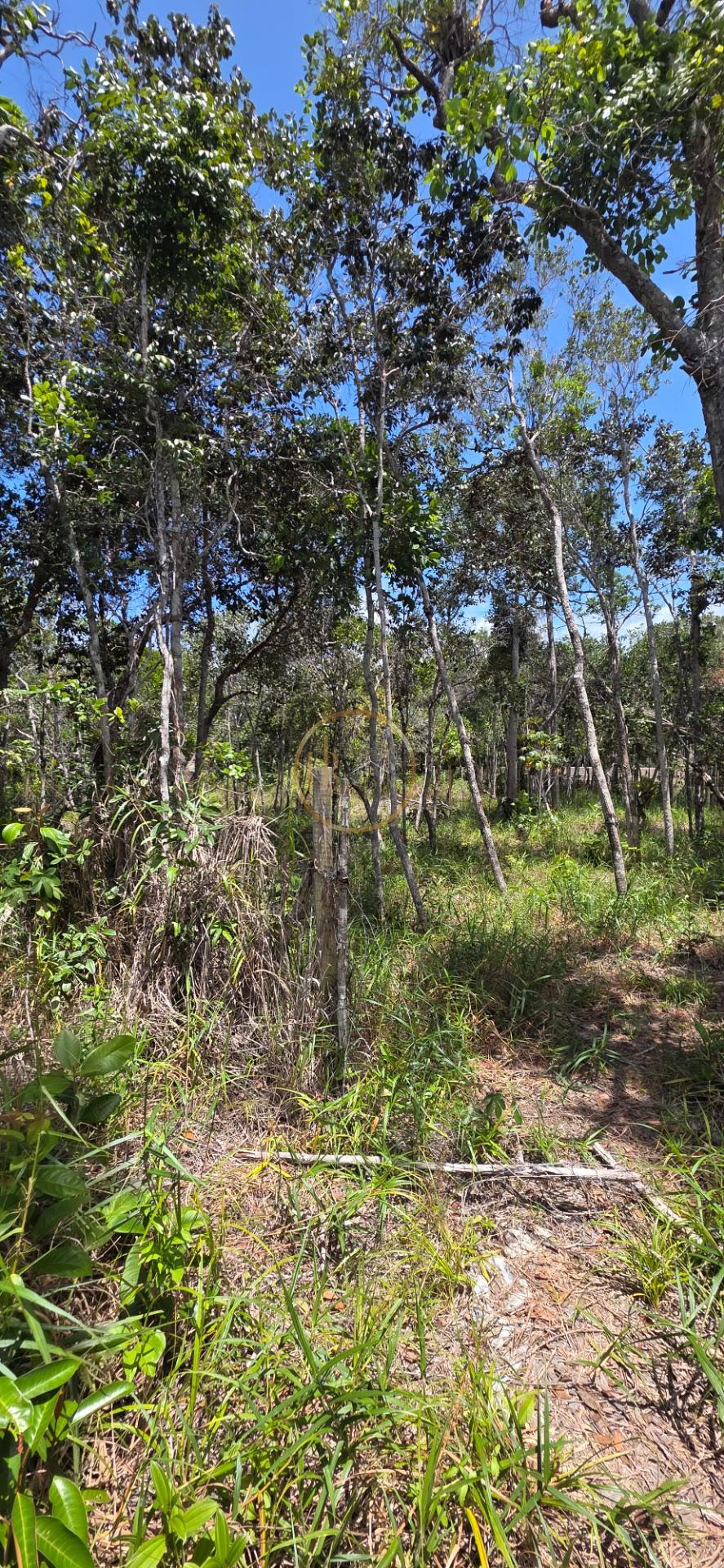 Terreno à venda com 400m² de terreno no Alto de Pitinga, Porto Seguro (BA) — foto 6 de 12