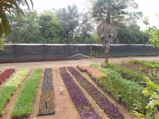 Terreno, 12 m² - Foto 11