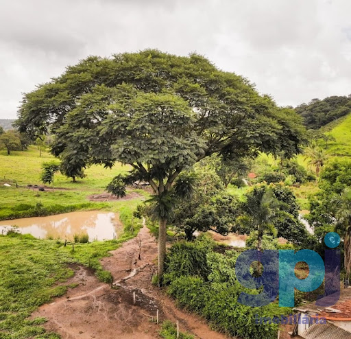 Fazenda em Área Rural   -  Perdigão