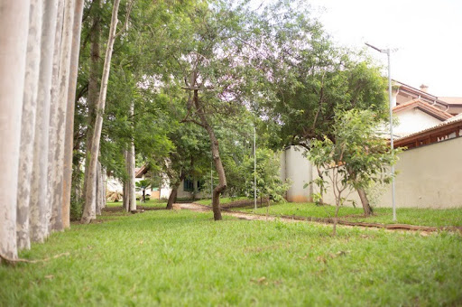 Foto 06