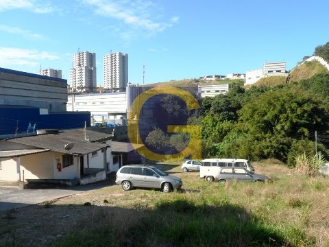 Lado esquerdo
