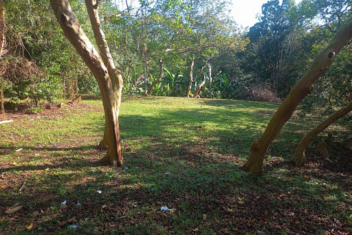Área em Potecas  -  São José