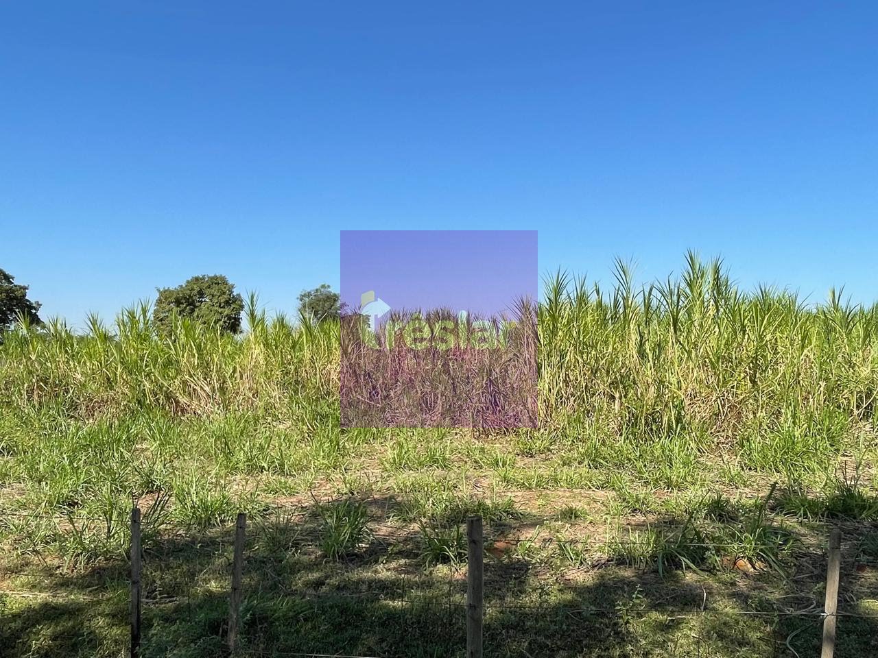 Rural à venda com 1710000m² de terreno no Fazenda, Três Lagoas (MS) — foto 19 de 30