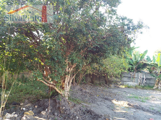 Terreno em Parque Sao Luis  -  Taubaté