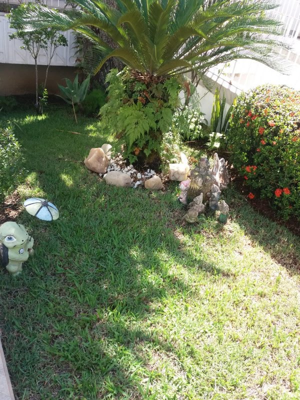 Foto 01