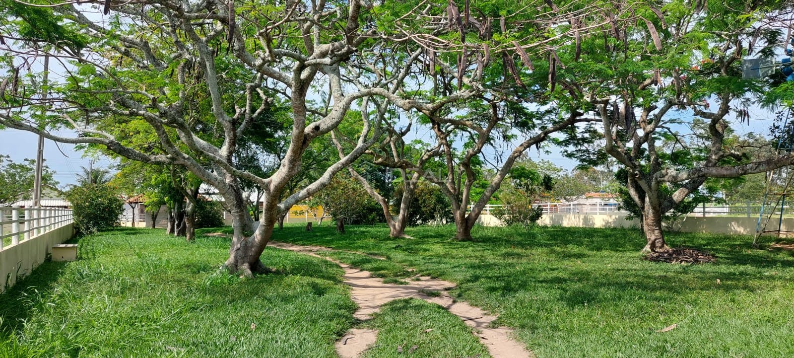 Terreno à venda com 1750000m² de terreno no Nova Travessão, Campos dos Goytacazes (RJ) — foto 9 de 30