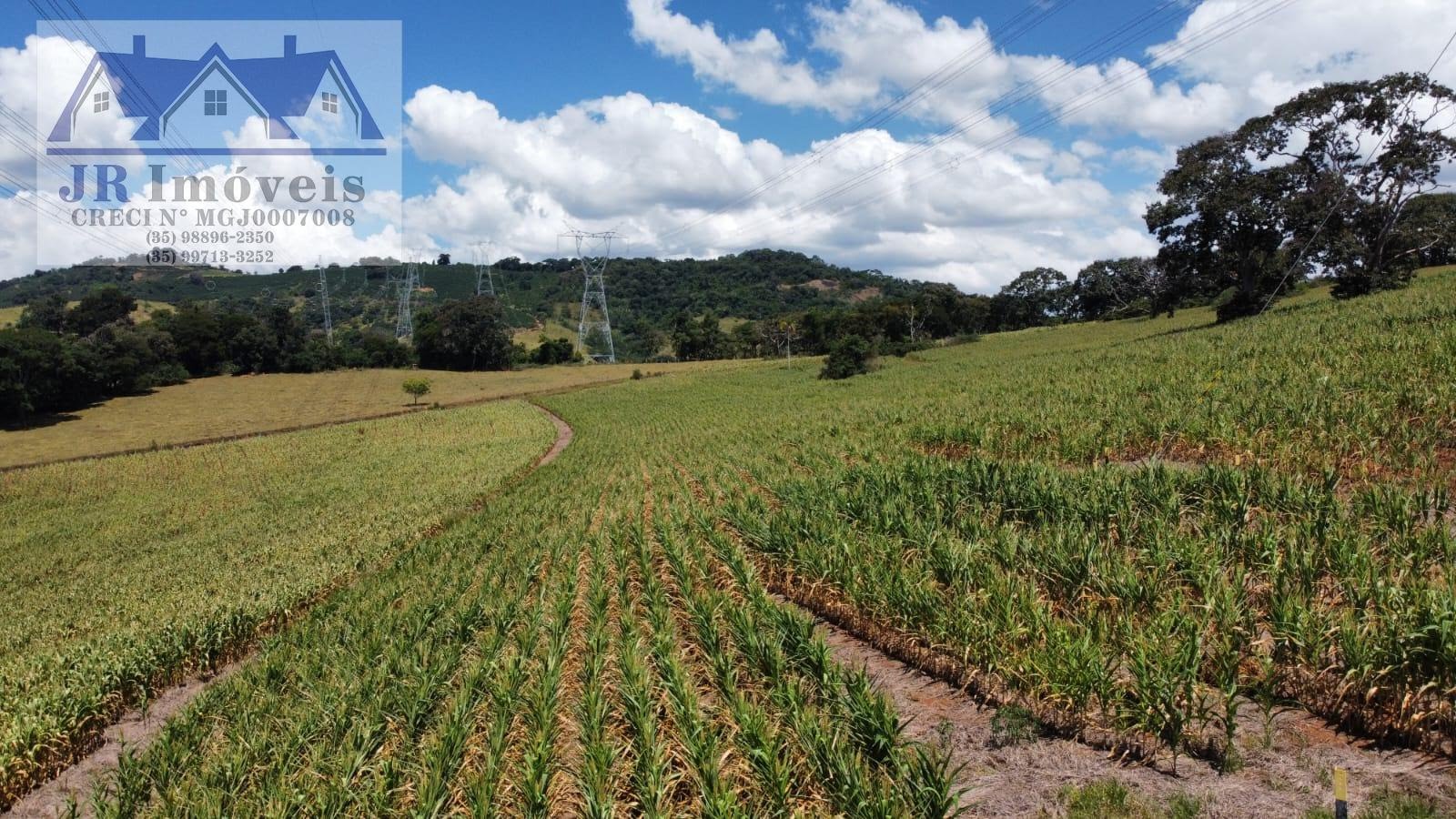 Rural à venda no Bairro Floresta, Piranguinho (MG) — foto 7 de 11