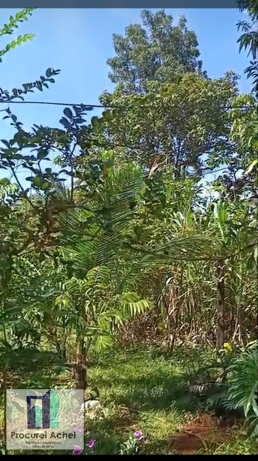 Rural à venda com 1900m² de terreno no Planaltina, Brasília (DF) — foto 19 de 25