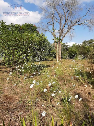 Área plana
