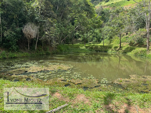 Terreno em Vale das Videiras - Paty do Alferes, RJ