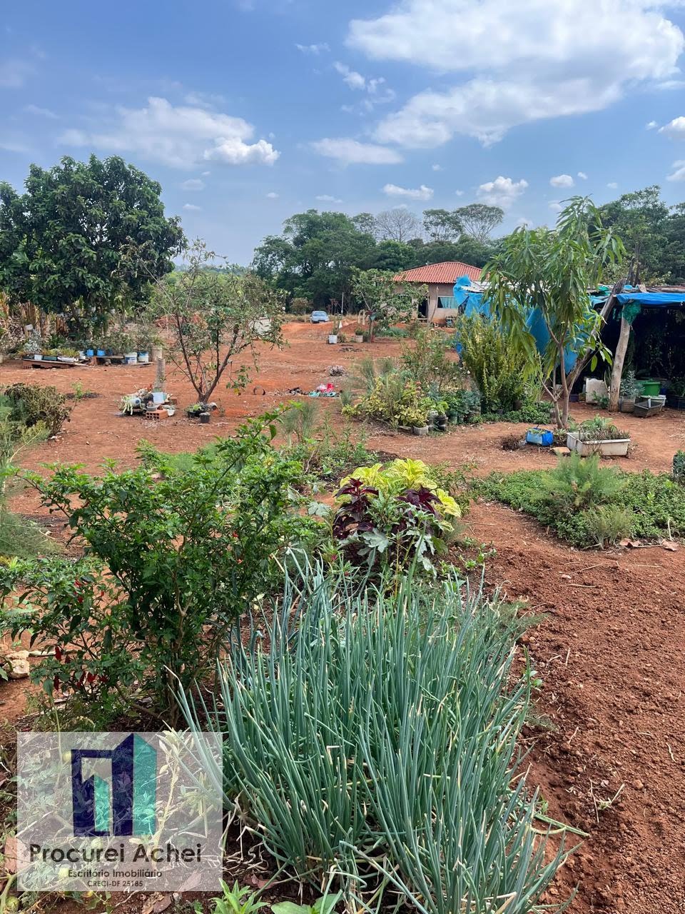 Rural à venda com 5000m² de terreno no Rajadunha I, Brasília (DF) — foto 10 de 21