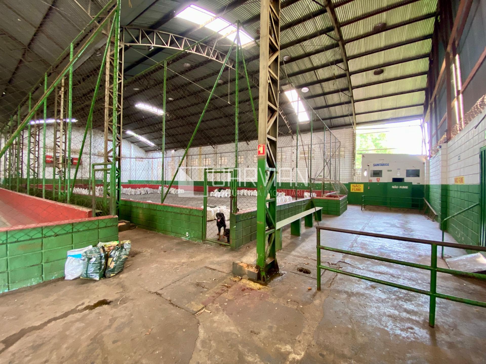 Comercial para alugar com 1880m² no Planalto Verde, Ribeirão Preto (SP) — foto 9 de 30
